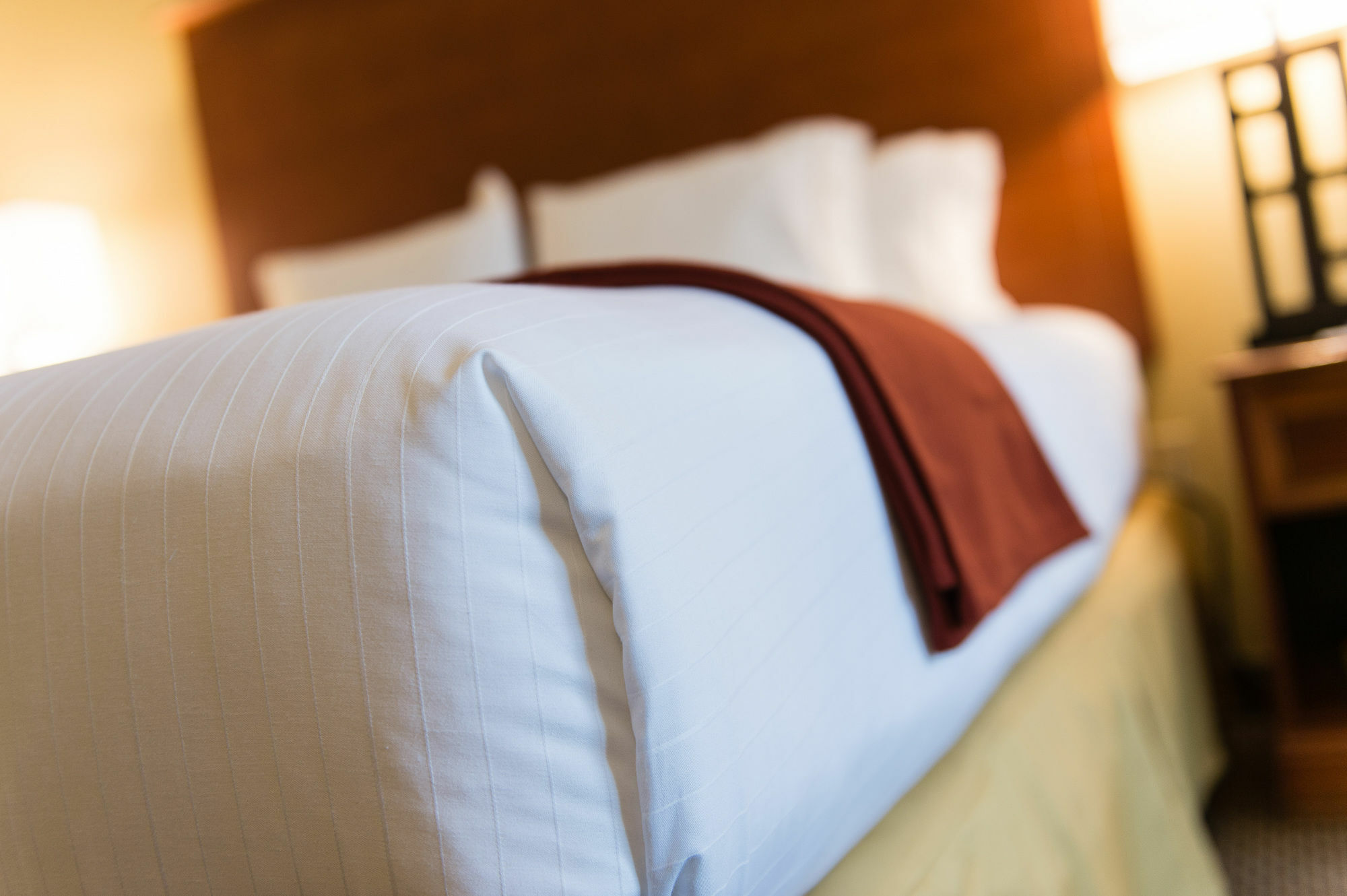 Holiday Inn Express & Suites Columbia-I-26 @ Harbison Blvd By Ihg Kültér fotó